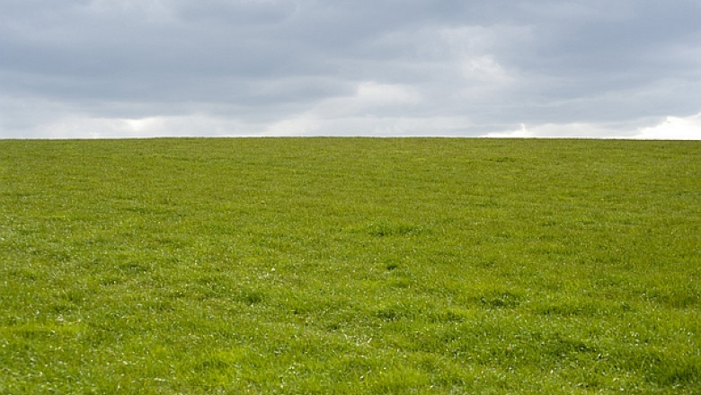 ANRP cere anularea retrocedarilor de teren de la Nana. Fost consilier prezidential: "Terenurile erau la a treia vanzare" Imagine