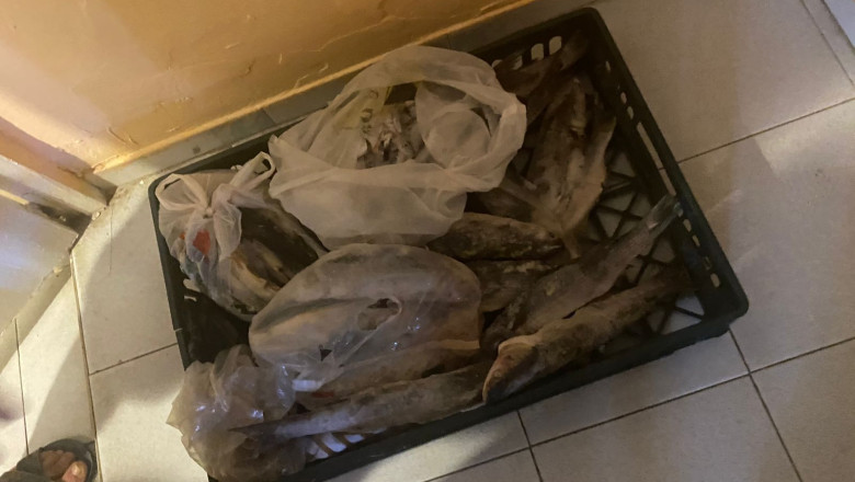 ANSVSA a dat amenzi de peste 72.000 de lei in urma controalelor facute in hala de peste din Piata Obor. Ce nereguli s-au gasit Imagine