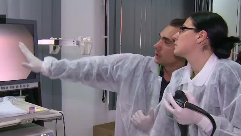 Antrenament pe... porci. Tinerii medici invata astfel sa faca endoscopii Imagine