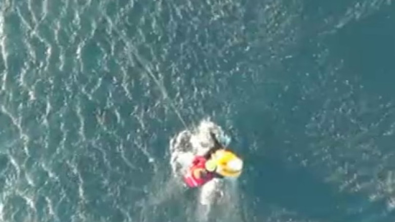 Antrenorul lotului roman de acrobatie, salvat din Marea Egee Imagine