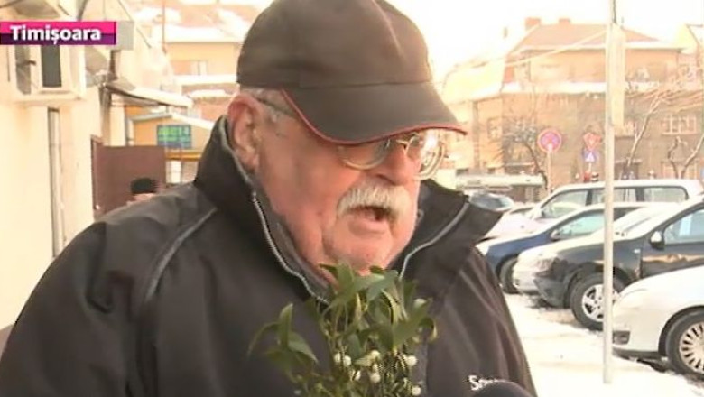 Anul Nou, influentat de superstitii si obiceiuri. Ce cred timisorenii despre vasc - planta vedeta a Revelionului Imagine