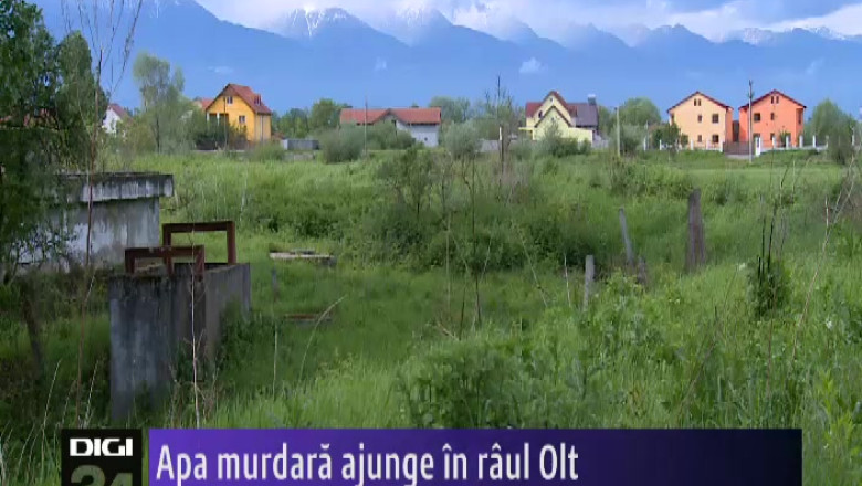 Apa murdara ajunge in raul Olt Imagine