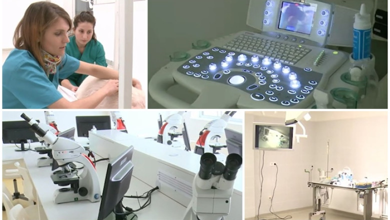 Aparatura veterinara unica in Romania, la Timisoara Imagine