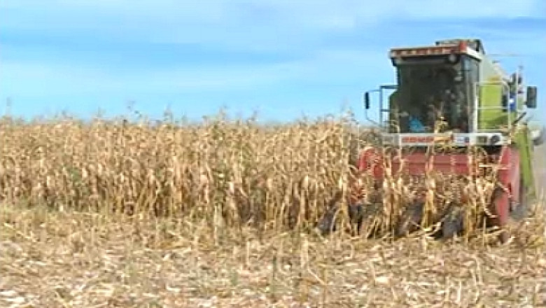 APIA: Fertilizarea terenurilor agricole se face incorect. Agricultorii aplica ingrasaminte fara a cerceta nevoile pamantului pe care il cultiva Imagine