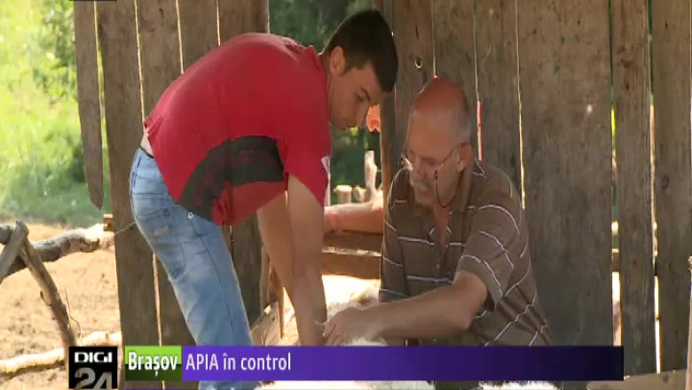 APIA in control Imagine