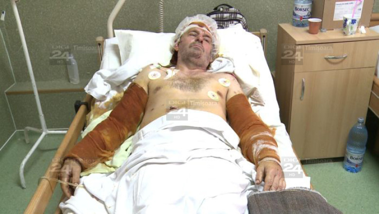 Aproape omorat de o haita de caini, in Gara de Nord din Timisoara Imagine