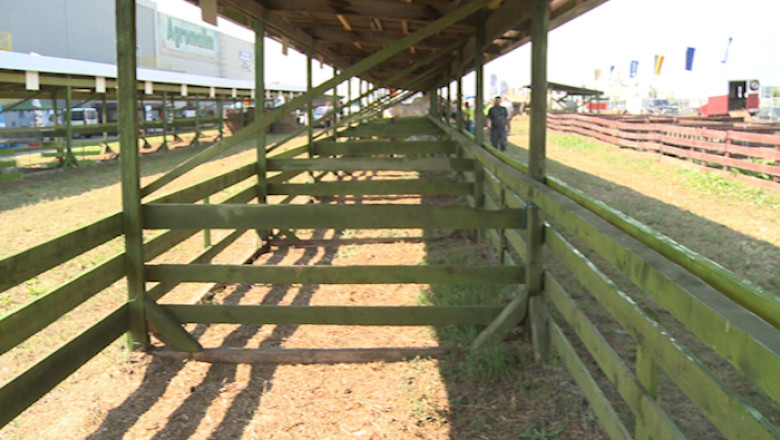 Arad. Targ pentru fermieri, fara animale Imagine