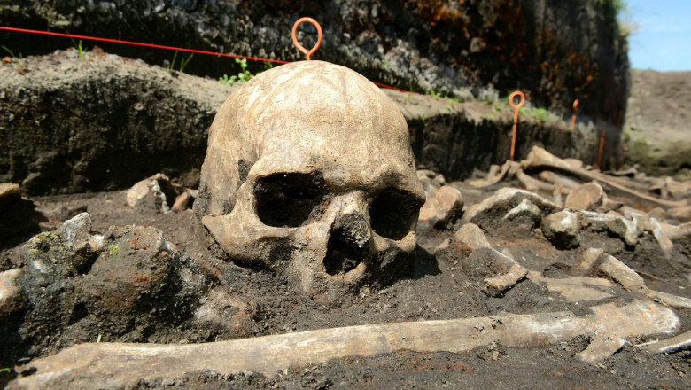 Armata misterioasa care a luptat in cea mai veche batalie din Europa. Ce detalii dezvaluie ramasitele umane descoperite de arheologi Imagine