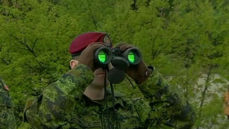 Armata poloneza a pierdut o drona Imagine