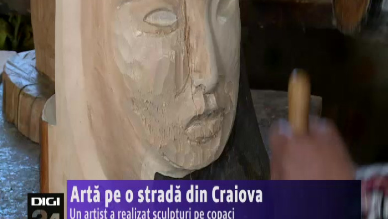 Arta pe o strada din Craiova. Un artist a realizat sculpturi pe copaci   Imagine
