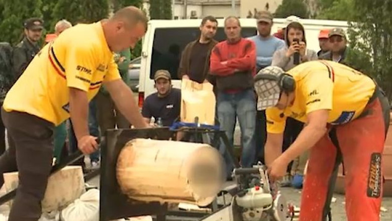 Asii fierastraului au evoluat la Timisoara Imagine