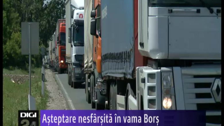 Asteptare nesfarsita in vama Bors Imagine