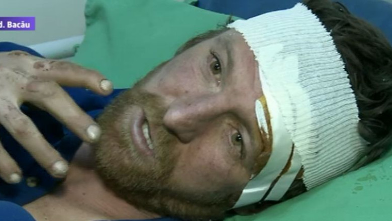 Atacat de urs, salvat de caine. Un barbat din judetul Bacau a fost la un pas de moarte Imagine