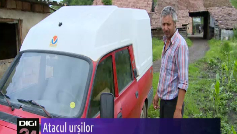 Atacul ursilor Imagine