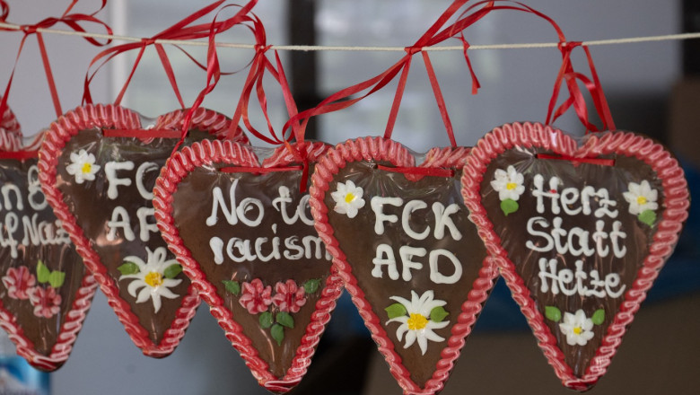 Atacuri impotriva politicienilor AfD din Germania, inainte de europarlamentare. Cinci persoane au fost arestate Imagine
