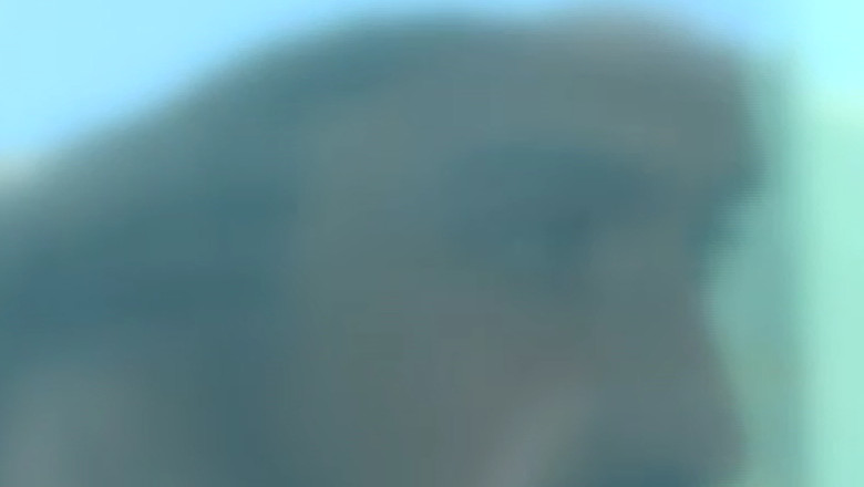 Atentatul de la Universitate, planuit din razbunare Imagine