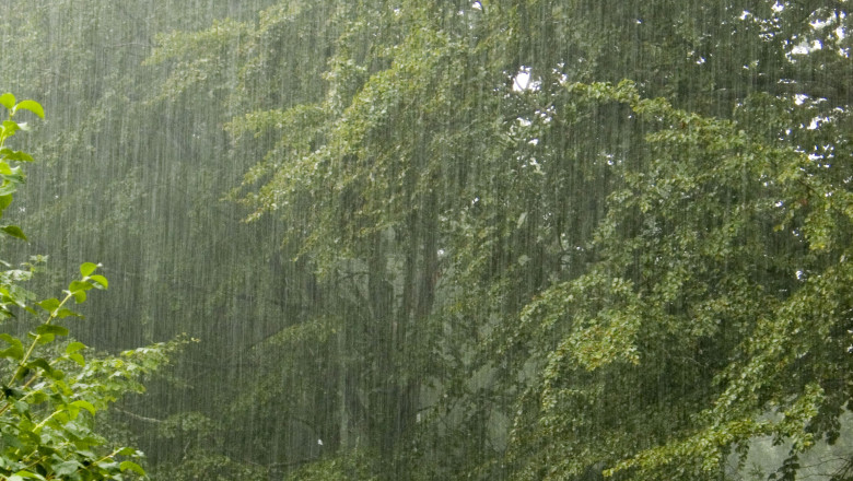 Atentionare meteo: furtuni in sud-estul Bihorului, posibil grindina Imagine