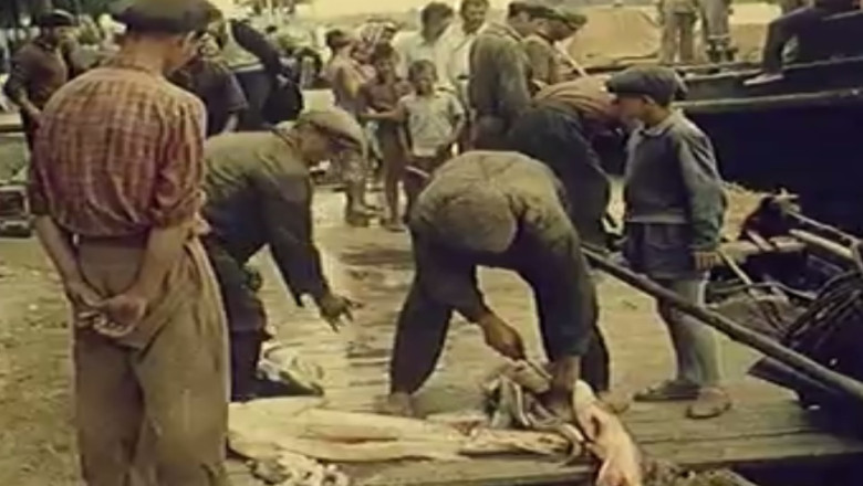 Atestate pentru pescari Imagine