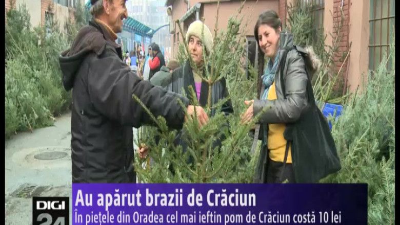 Au aparut brazii de Craciun. In pietele din Oradea cel mai ieftin pom costa 10 lei Imagine