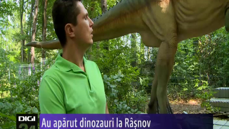 Au aparut dinozauri la Rasnov  Imagine