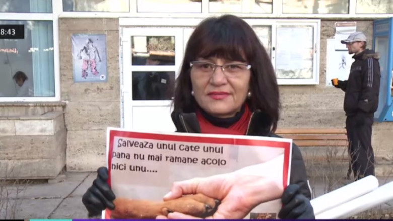 Au donat sange pentru hrana cainilor Imagine