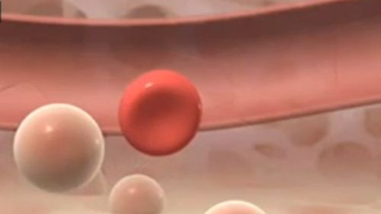 Au fost create celule stem embrionare ce pot vindeca boli precum Parkinson sau diabet Imagine