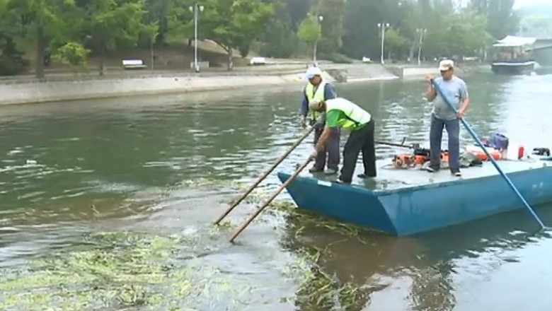 Au iesit la cosit pe Bega! Tratamente cosmetice de vara pentru canalul care strabate Timisoara Imagine