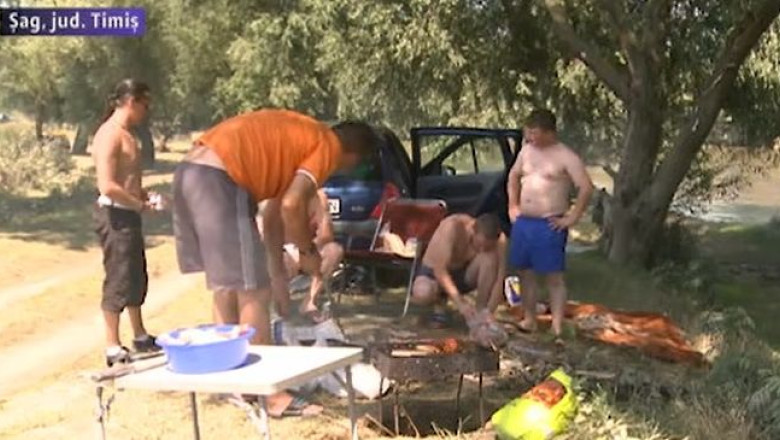 Au incins gratarele pe malul Timisului, la Sag Imagine