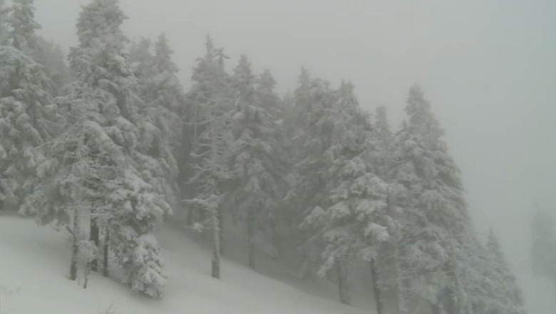 Au intrat in vigoare codurile portocaliu si galben de ninsori si vant puternic. Avertizarile, valabile in aproape toata tara Imagine