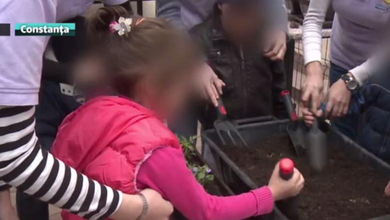Au invatat arta gradinaritului. Copiii cu autism au plantat diverse flori, legume si verdeturi Imagine