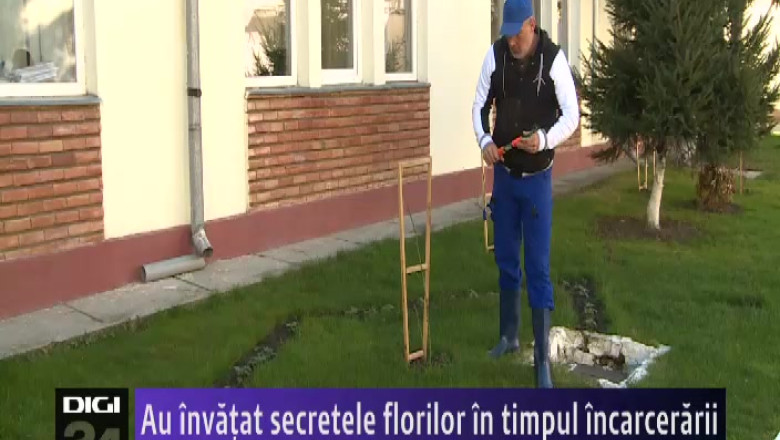 Au invatat secretele florilor in timpul incarcerarii Imagine