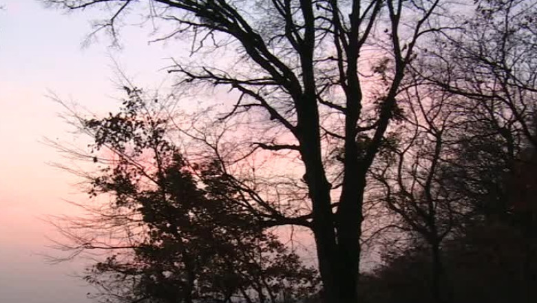 Au sarbatorit Halloween-ul in Padurea Baciu Imagine