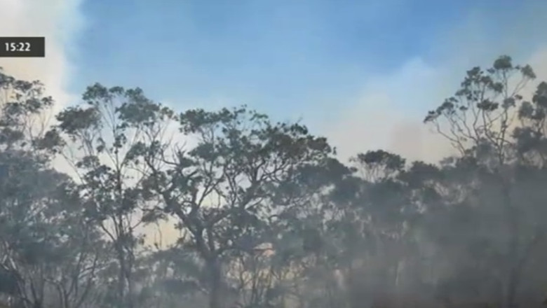 Australia lupta cu incendiile si canicula Imagine