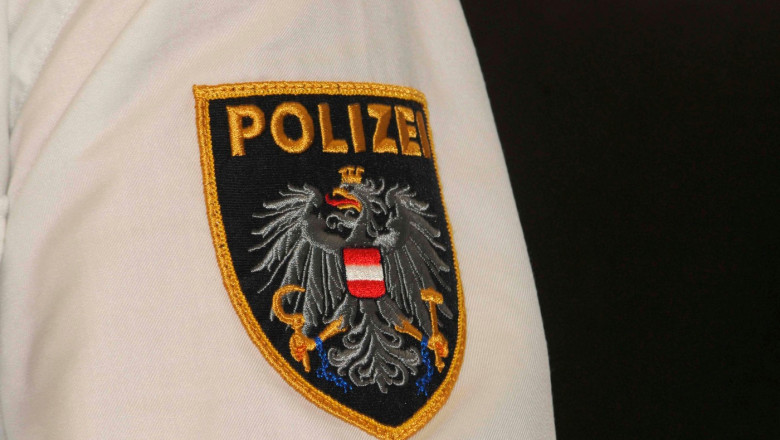Austria investigheaza o campanie rusa de dezinformare pe scara larga. Actiuni online si offline Imagine