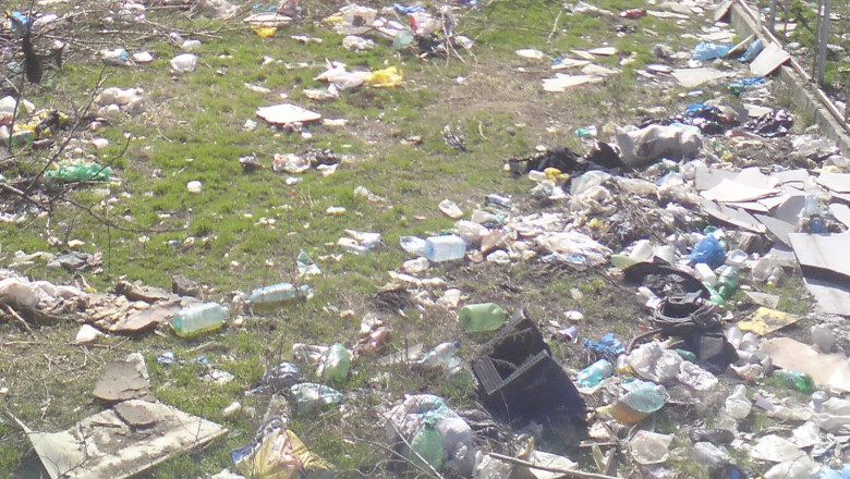 Autoritatile din Oradea cauta firme care sa salubrizeze 650.000 de metri patrati de terenuri Imagine