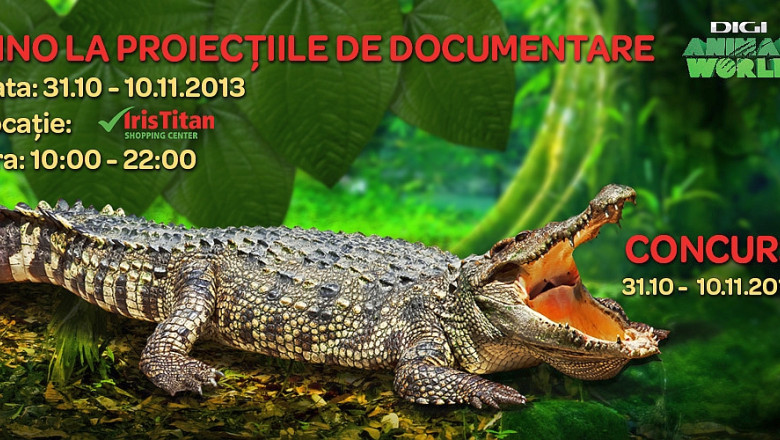 Aventura tropicala in Bucuresti: serpi, tarantule si crocodili intr-o expozitie de animale vii Imagine