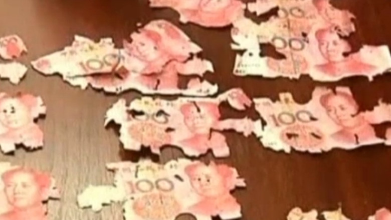 Avere pastrata la saltea, mancata de termite Imagine