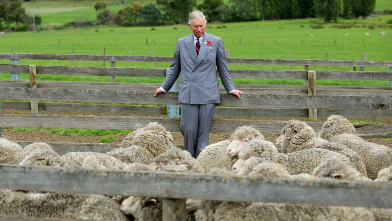 Averea fabuloasa a regelui Charles. Cat valoreaza monarhul dupa ce a intrat in posesia mostenirii de 360 milioane de lire de la mama sa Imagine