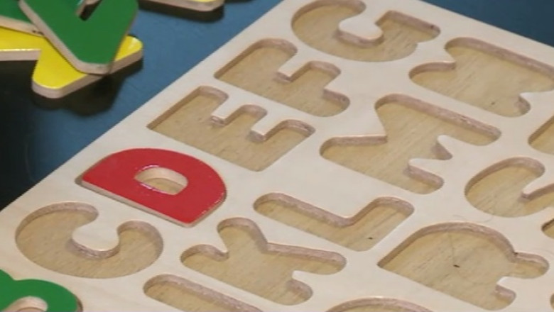 Avertisment: copiii cu autism ar putea ajunge pe mana unor persoane fara pregatire Imagine