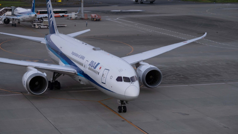 Avion intors din zbor dupa ce un barbat a muscat o stewardesa Imagine