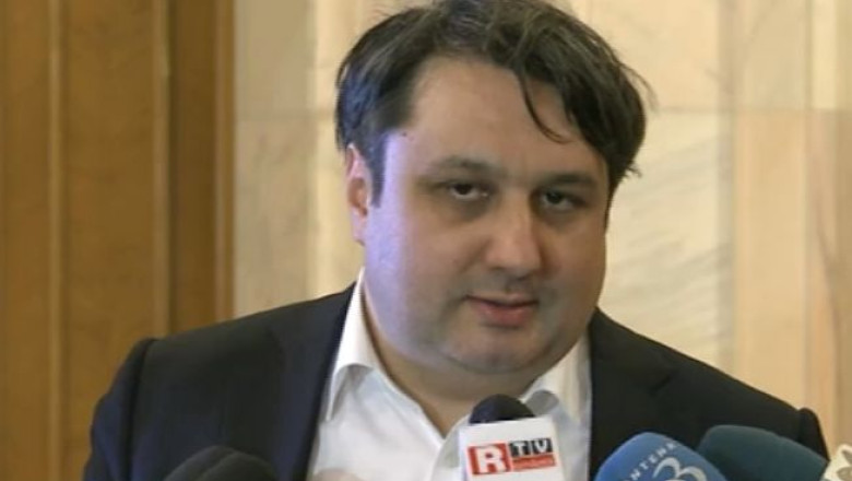 Avocat: Elena Udrea vrea sa vina fara catuse la Comisia Juridica din Camera Deputatilor Imagine