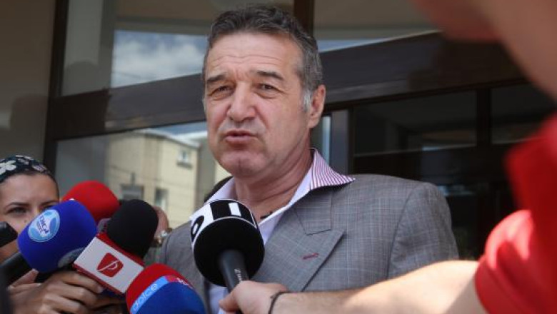 Avocata lui Gigi Becali sustine ca in cazul clientului sau exista "pericol iminent de paraplegie" Imagine