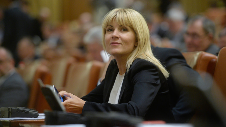 Avocatii Elenei Udrea cer rapoartele SPP de la Ministerul Dezvoltarii pentru a arata ca nu avea cum sa primeasca mita Imagine