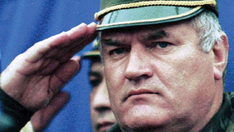 Avocatii lui Ratko Mladici pledeaza luni la Haga. Fostul lider al sarbilor bosniaci este acuzat de genocid si crime impotriva umanitatii Imagine
