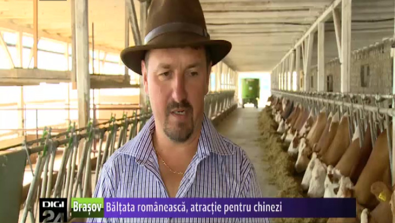 Baltata romaneasca, atractie pentru chinezi Imagine