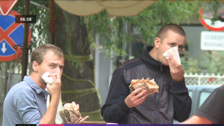 Banatul e fruncea... la ingrasare Imagine