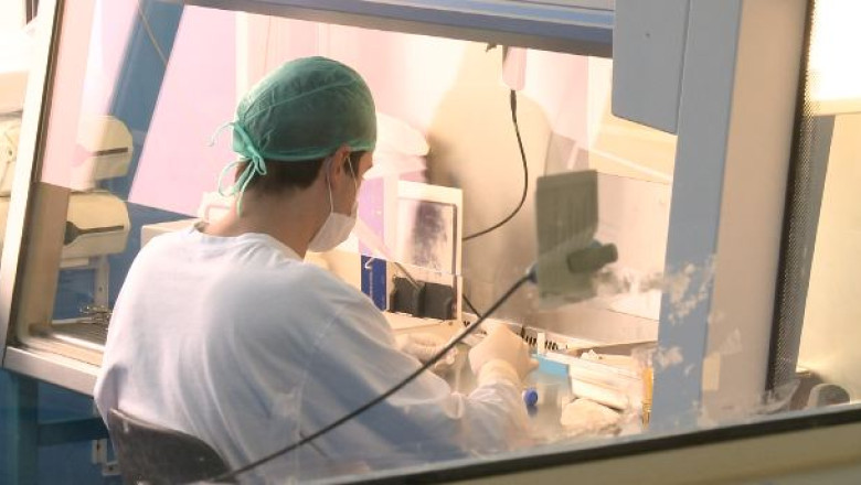 Banca de celule stem, in insolventa Imagine