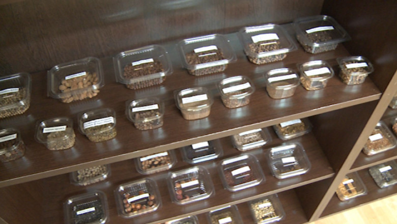 Banca de seminte, in judetul Arad Imagine