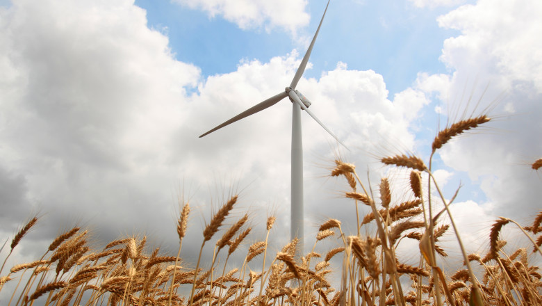 Bani aruncati in vant. Investitiile in energia regenerabila s-au facut fara cap Imagine