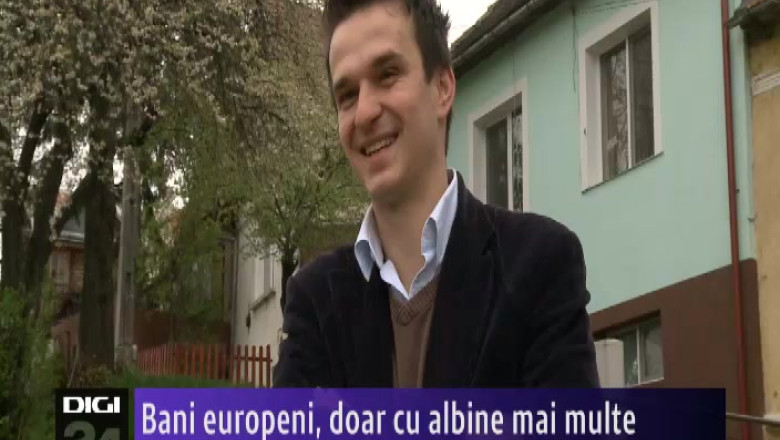 Bani europeni, doar cu albine mai multe  Imagine